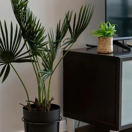Lägenhet Mostek 4 Przytulne Dla 3 Osob Nad Rzeka By Renters *